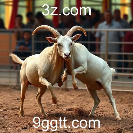 Explorando o Mundo do Sabong Online